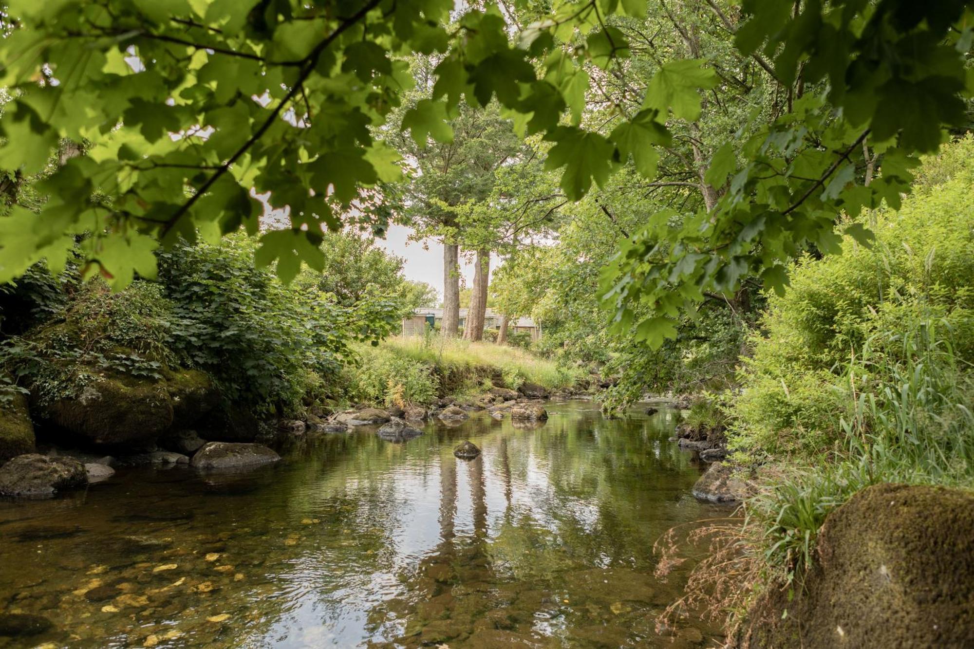 Afonfa - Llanuwchllyn Villa Bala Bagian luar foto